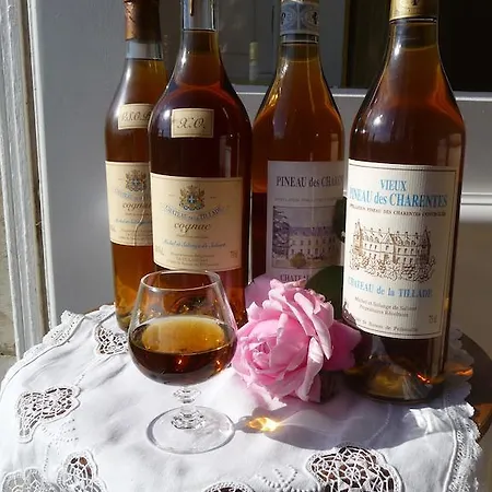 Bed & Breakfast Chateau De La Tillade Saint-Simon-de-Pellouaille